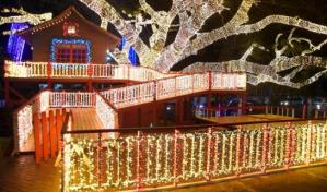 Abel Martínez evalúa celebrar la Navidad en árbol del ayuntamiento nuevamente