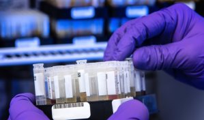 Un fármaco puede volver, en ratones, al virus de la COVID-19 contra sí mismo