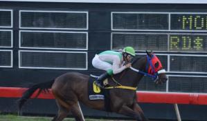 Carreras del sábado tendrán un poolpote de RD$3.9 millones en el Hipódromo V Centenario
