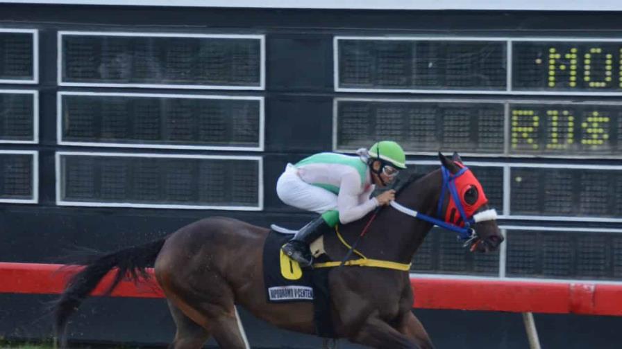 Carreras del sábado tendrán un poolpote de RD$3.9 millones en el Hipódromo V Centenario Carreras del sábado tendrán un poolpote de RD$3.9 millones en el Hipódromo V Centenario