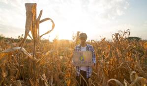 El FMI alerta de una crisis alimentaria global por las subidas de precios