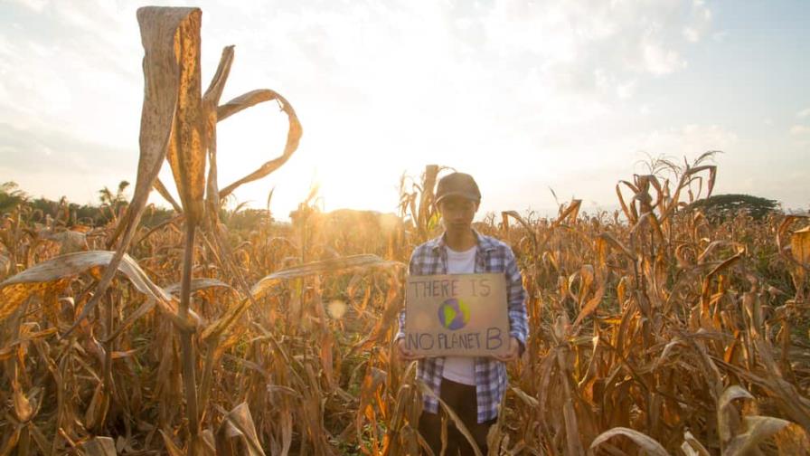 El FMI alerta de una crisis alimentaria global por las subidas de precios El FMI alerta de una crisis alimentaria global por las subidas de precios