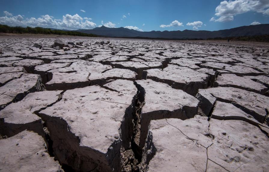 La crisis climática será tema central del Festival de las Ciencias de Chile