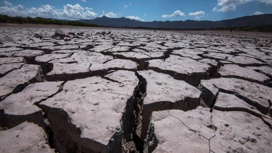 La crisis climática será tema central del Festival de las Ciencias de Chile