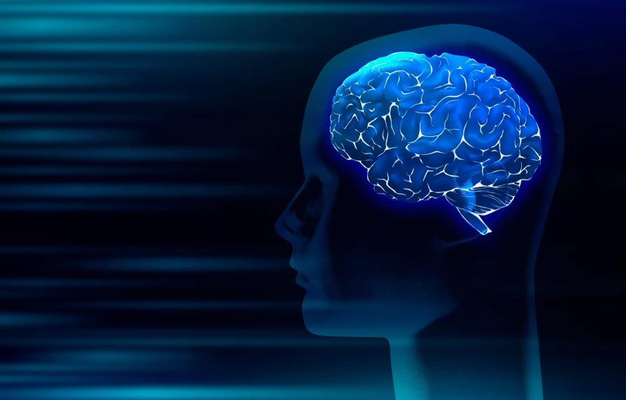 La epilepsia: principal trastorno cerebral generador de convulsiones
