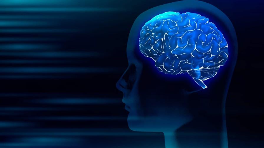 La epilepsia: principal trastorno cerebral generador de convulsiones La epilepsia: principal trastorno cerebral generador de convulsiones