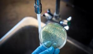 Líbano identifica cerca de una veintena de casos de cólera en menos de una semana