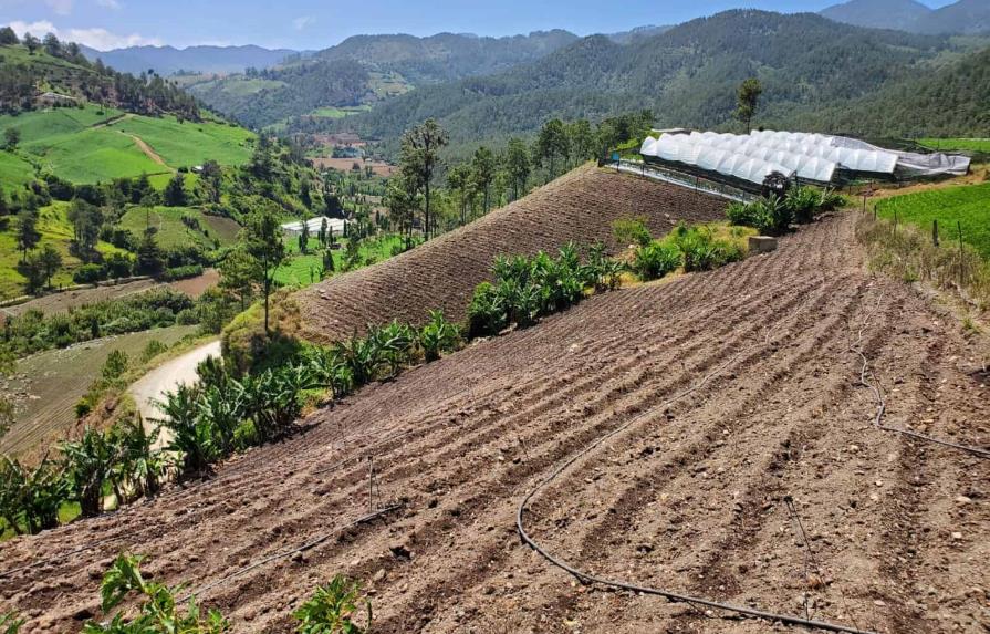 La FAO: El campo dominicano enfrenta los desafíos impuestos por el cambio climático