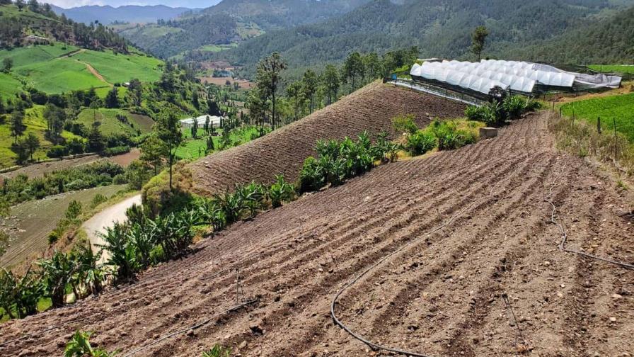 La FAO: El campo dominicano enfrenta los desafíos impuestos por el cambio climático