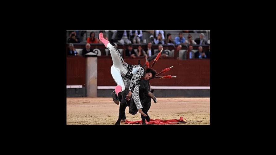 Torero español con heridas de pronóstico reservado por una cogida