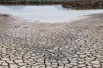 La ONU comienza su cumbre climática en un mundo en crisis La ONU comienza su cumbre climática en un mundo en crisis