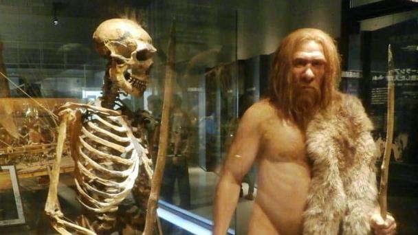 La paleogenética, una ciencia a la vez prehistórica y contemporánea