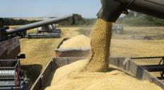 Creciente demanda de prote&iacute;na animal consolida el uso de la soya en industrias alimenticias