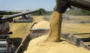 La región de las Américas, un destino clave para las exportaciones de soya de EE.UU.