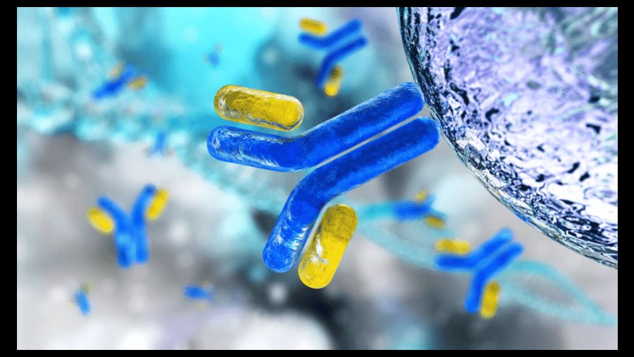 Crean proteínas inexistentes en la naturaleza que imitan a inmunoglobulinas Crean proteínas inexistentes en la naturaleza que imitan a inmunoglobulinas