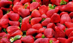 Así puedes lavar y conservar tus fresas