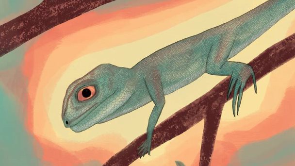 Este reptil sobrevivió a la mayor extinción de la Tierra