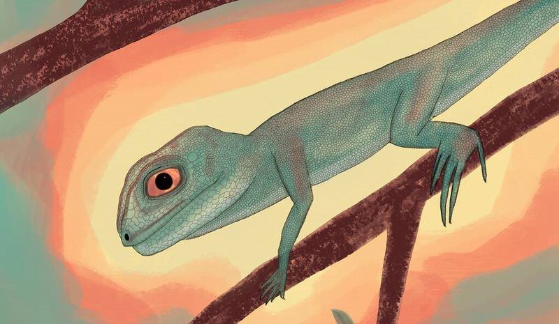 Este reptil sobrevivió a la mayor extinción de la Tierra