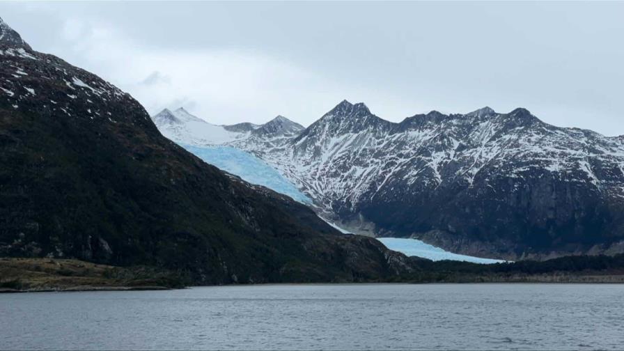 La alerta temprana del cambio climático suena en los bosques del fin del mundo