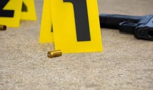 La tasa de homicidios en lo que va del 2024 se sitúa 10, según el Gobierno