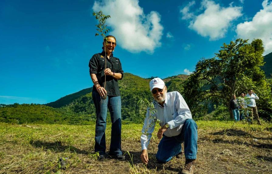 Medio Ambiente establece meta para plantar 12 millones de árboles en RD