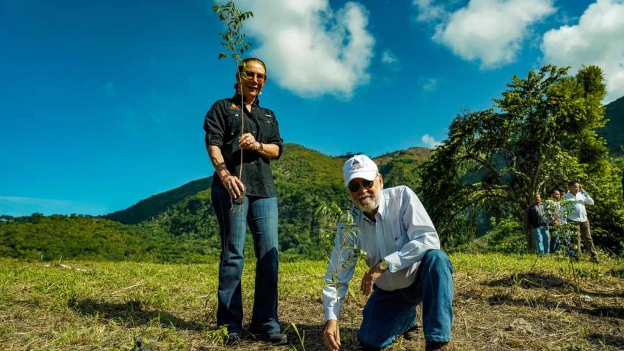 Medio Ambiente establece meta para plantar 12 millones de árboles en RD