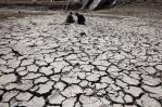 Cambio climático aumentó probabilidad de sequía al menos 20 veces