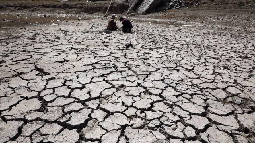 Cambio climático aumentó probabilidad de sequía al menos 20 veces