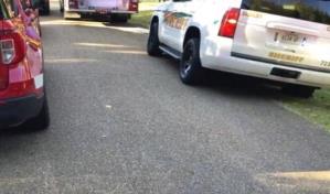 Dos niños muertos y la madre en condición crítica tras ataque de dos perros en Tennessee