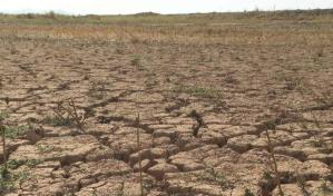 Cambio climático aumentó probabilidad de sequía al menos 20 veces