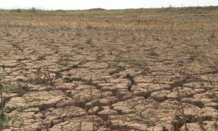 Cambio climático aumentó probabilidad de sequía al menos 20 veces