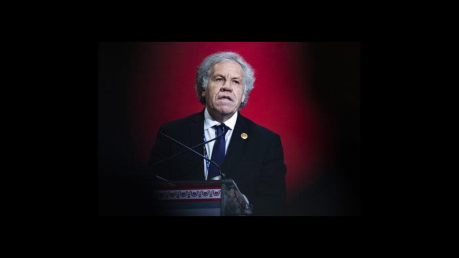 Investigan al jefe de la OEA por relación con asistente Investigan al jefe de la OEA por relación con asistente