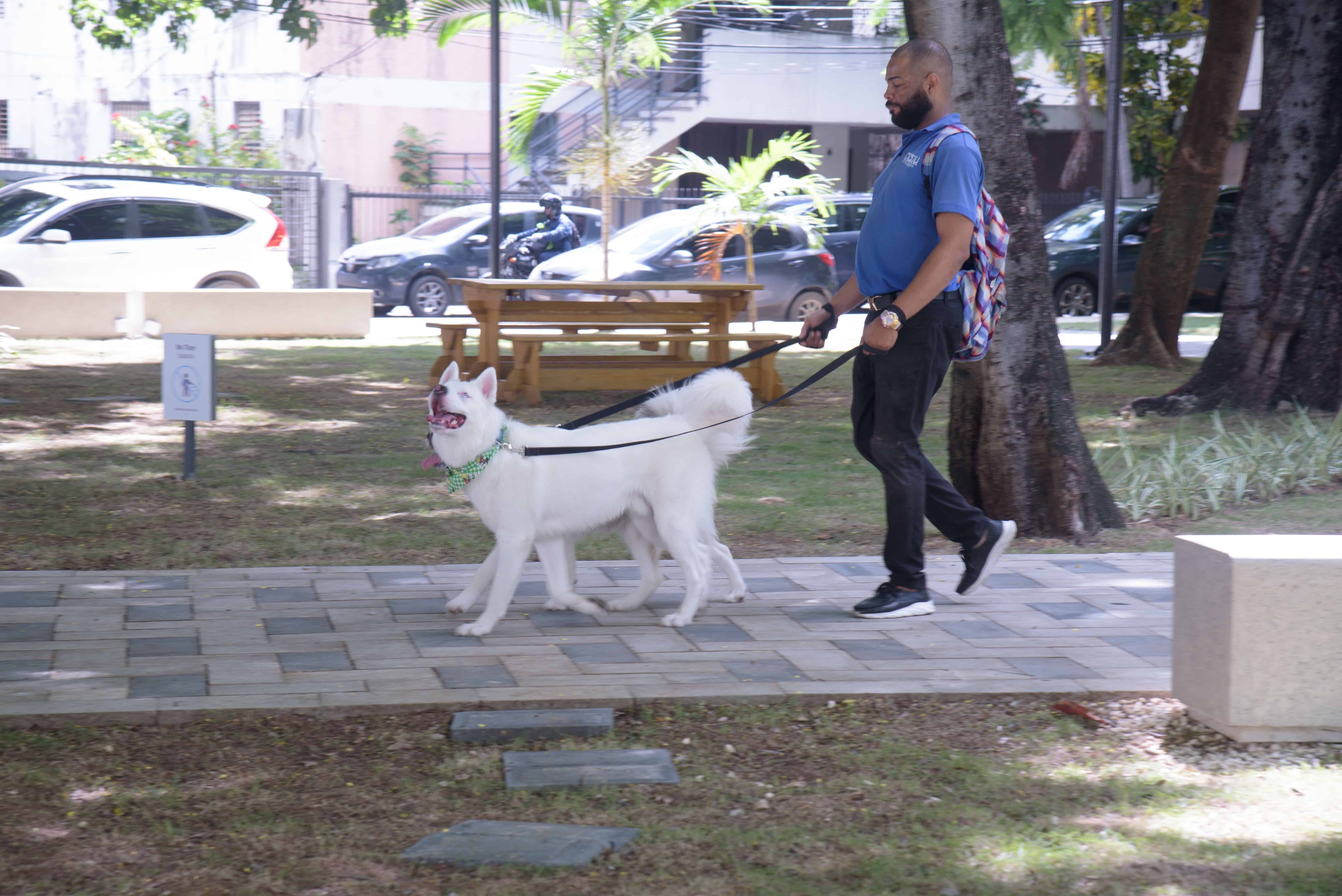 Los parques son utilizados también para pasear perros