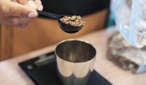 OIC: Los productores de café deben innovar para enfrentar el cambio climático