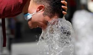 Europa debe prepararse para posibles brotes de dengue tras las olas de calor, según la OMS