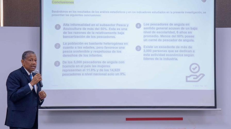 Abogan por mejorar sistemas de control de la pesca de angula en República Dominicana