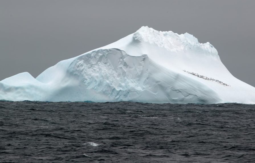 Encuentran ADN marino de hace un millón de años en la Antártida