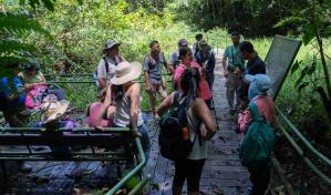 Restauración de ecosistemas y cambio climático debe abordarse como región