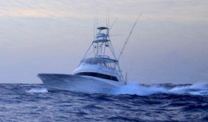 Arranca hoy el Cap Cana Classic de pesca al Marlin Azul