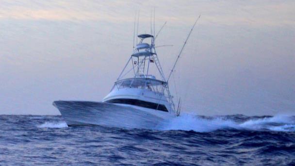 Arranca hoy el Cap Cana Classic de pesca al Marlin Azul