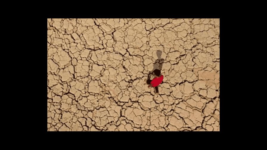 Miles de desplazados en sur de Irak por la sequía Miles de desplazados en sur de Irak por la sequía