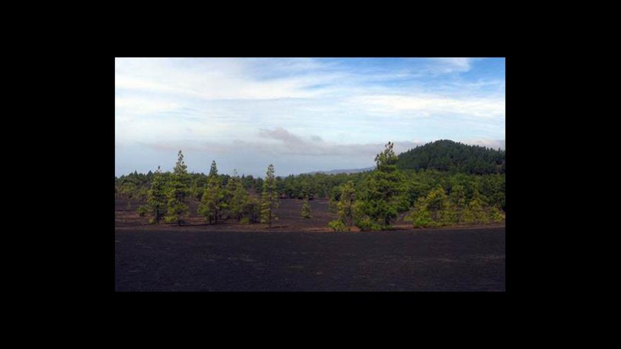 Los suelos con mayor biodiversidad no tienen una protección adecuada Los suelos con mayor biodiversidad no tienen una protección adecuada