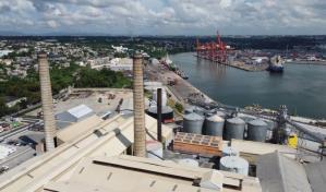 Empresarios y productores avícolas piden protección ante robos en Puerto Río Haina