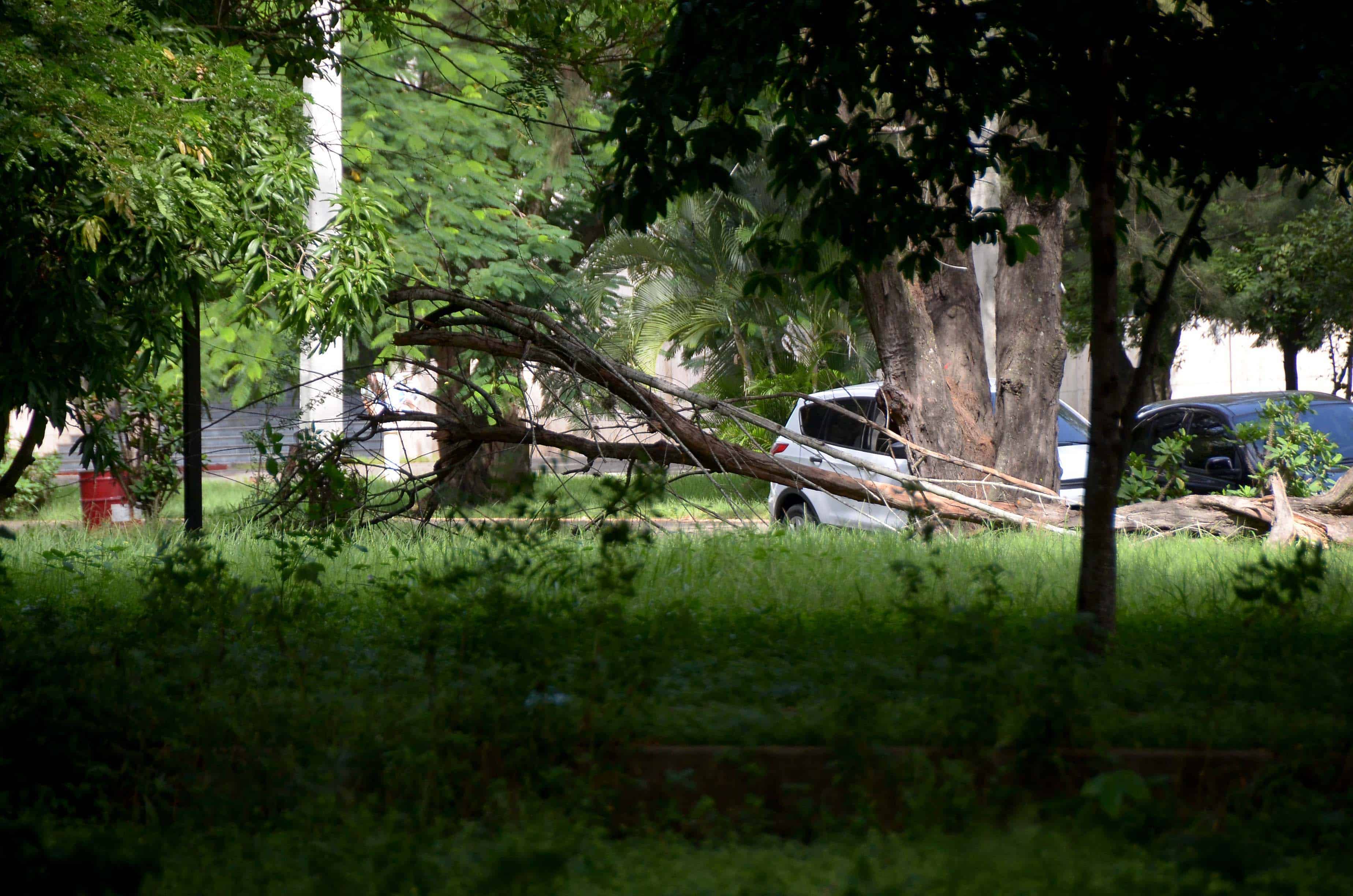 Gran Teatro del Cibao, in precarious conditions - American Journal