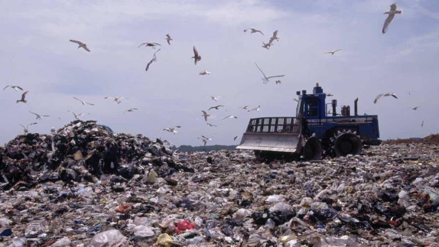 Basureros de Nueva York rescatan el anillo que una mujer tiró en un descuido