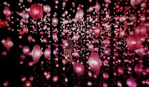 Guía cultural de Qatar 2022: de Maradona a la rosa del desierto