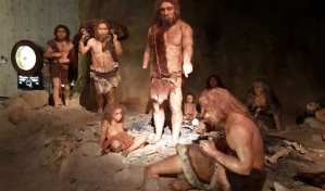 Los neandertales y los seres humanos coexistieron durante más de dos mil años