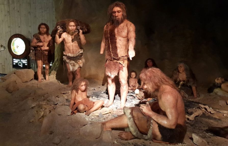 Los neandertales y los seres humanos coexistieron durante más de dos mil años