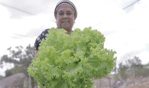 Sup&eacute;rate valora la mujer rural y su rol protag&oacute;nico en la erradicaci&oacute;n del hambre