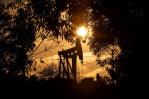 El petróleo de Texas abre con una subida del 0.72 %, hasta los 86.23 dólares El petróleo de Texas abre con una subida del 0.72 %, hasta los 86.23 dólares